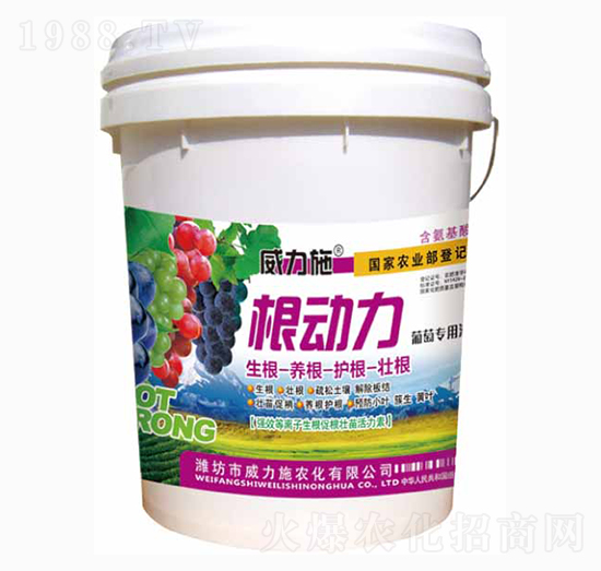 根動(dòng)力-威力施