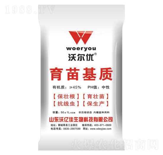 ������|(zh��)-�֠���(y��u)