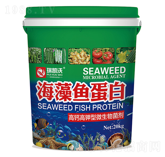 �����~(y��)����-���Wɭ