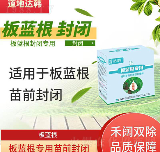 板藍根除草劑-板藍根播后芽前-板藍根專用-大韓