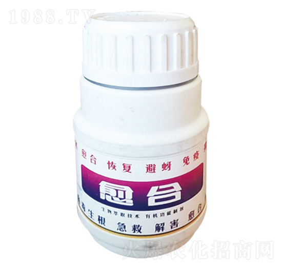 �����ޏ�(f��)��-����-����