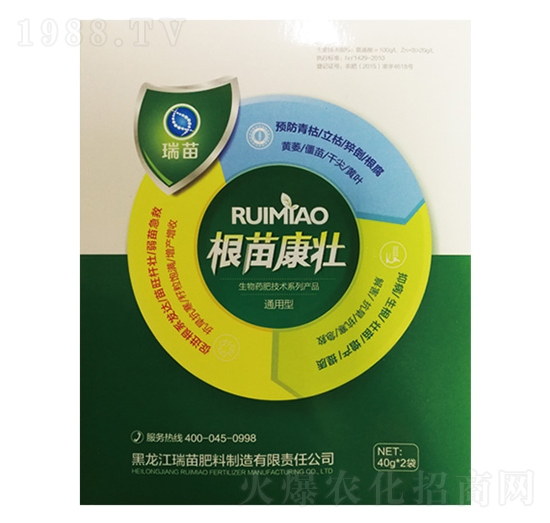 ���翵��-����