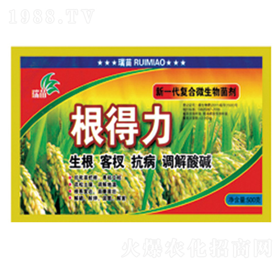 �ͺ�΢�������-������-����