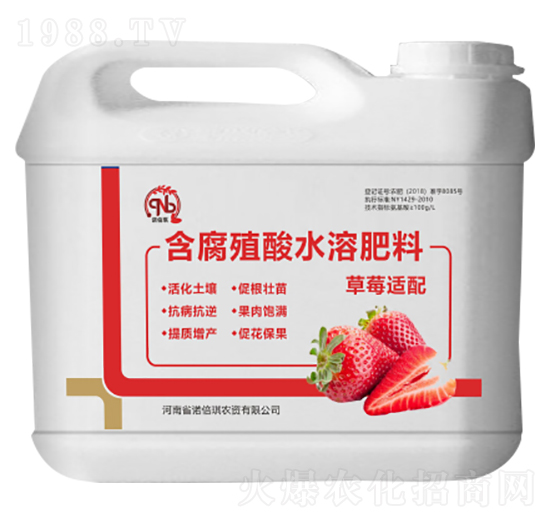 草莓適配含腐殖酸水溶肥料-諾倍琪