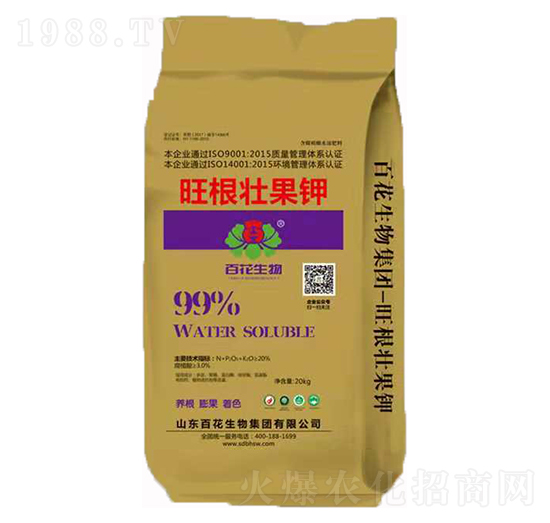 �����ѹ��-�ٻ�����