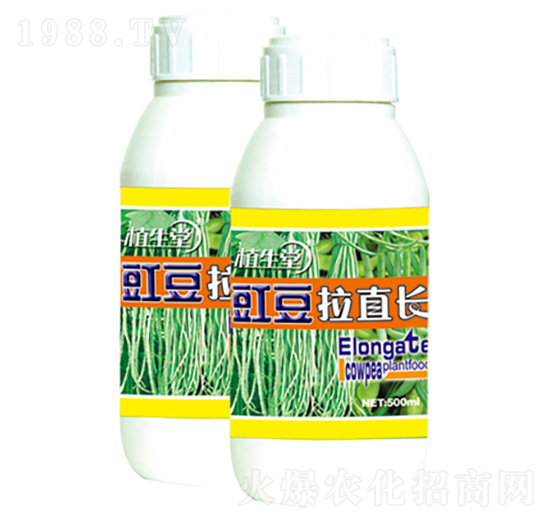豇豆拉直長(zhǎng) 植生堂 萊利生物