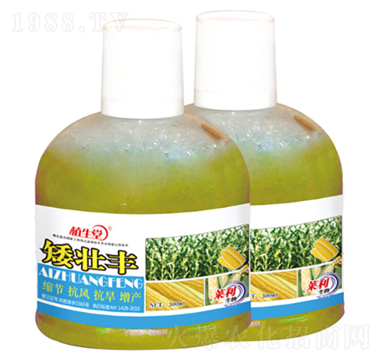 矮壯豐 植生堂 萊利生物