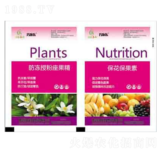 �����ڷ�������+���������� ����