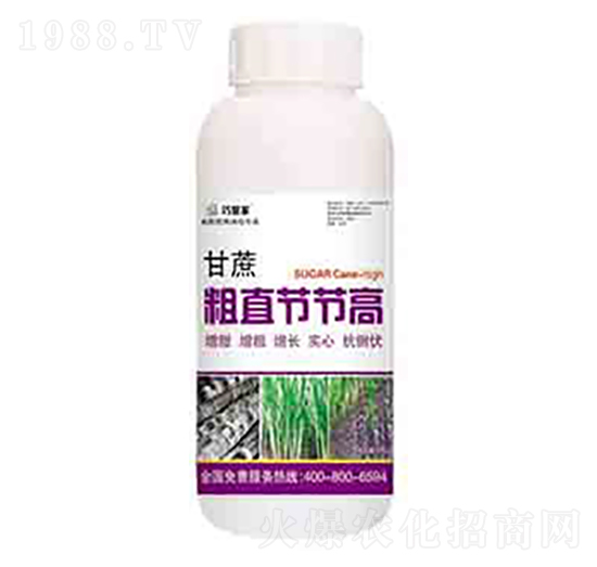 甘蔗粗直節(jié)節(jié)高 潤(rùn)澤