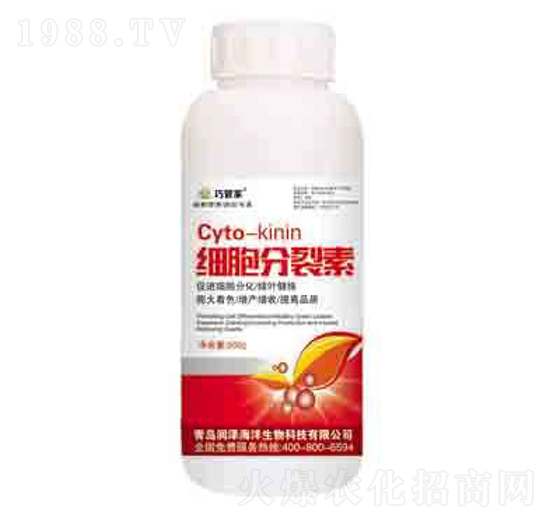 ��(x��)�������� ����