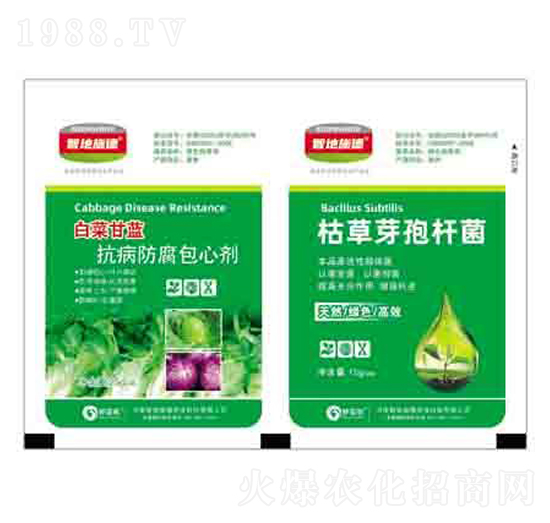 白菜甘藍(lán)抗病防腐包心劑+枯草芽孢桿菌 潤(rùn)澤