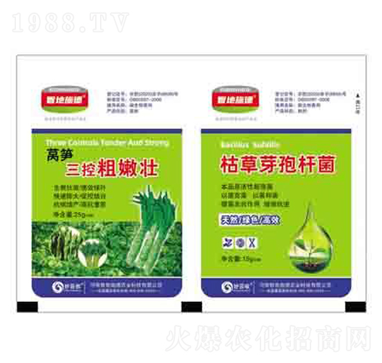 萵筍三控粗嫩壯+枯草芽孢桿菌 潤(rùn)澤