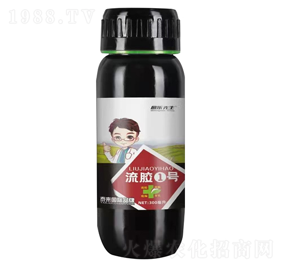 ���z1̖(h��o) �������� ̩���(gu��)�H