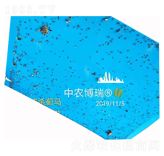 專(zhuān)門(mén)捕殺薊馬 中農(nóng)博瑞