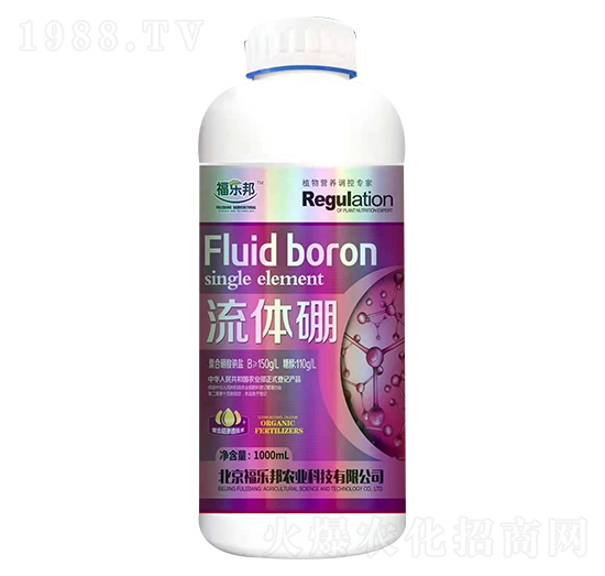 ���w�� ������