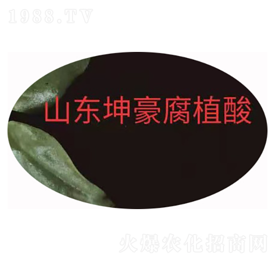 粉狀黃腐酸鉀 坤豪