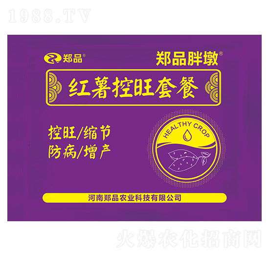 紅薯控旺套餐 鄭品胖墩 鄭品