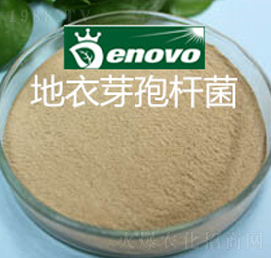 ����ѿ�ߗU��-��΢����