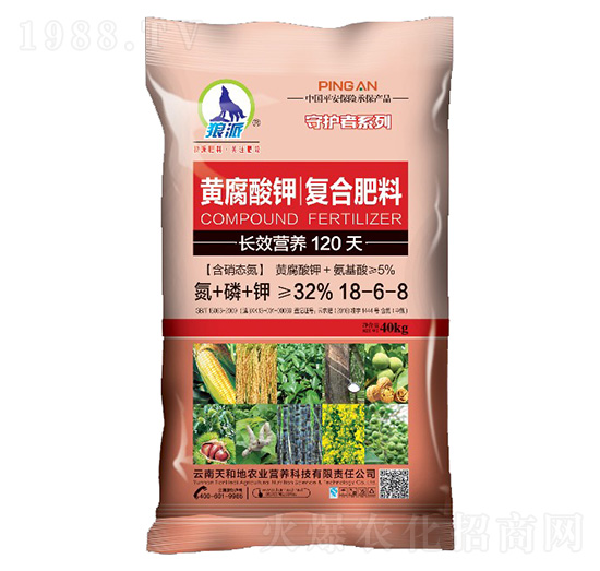 �S����⛏�(f��)�Ϸ���18-6-8-���o��-����