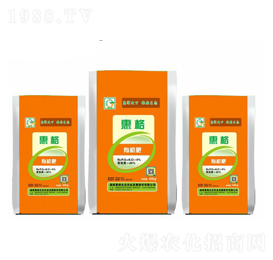 �ݸ��ЙC(j��)��-�ݸ����B(t��i)