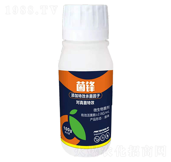 ΢�������-���h-ʢ����