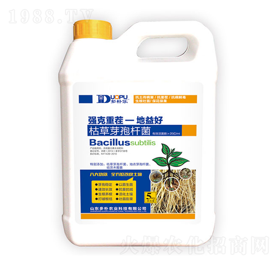 枯草芽孢桿菌-富爾科技