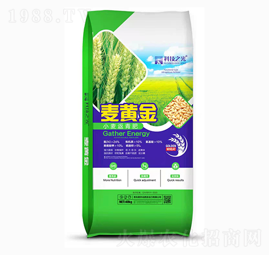 С�������-�Ƽ�֮��-��(r��n)��