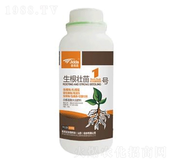 ��������1̖-���_(d��)