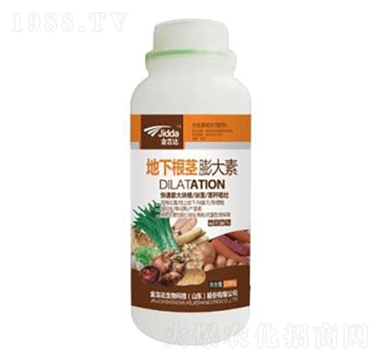 ���¸��o�����-���_(d��)