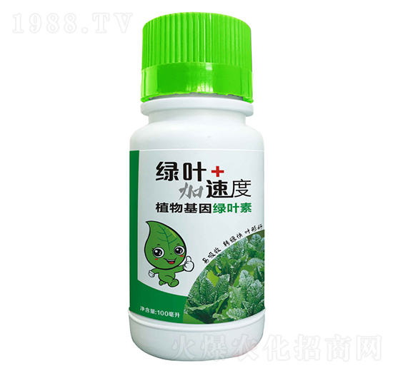 植物基因綠葉素-綠葉加速度-豆本豆