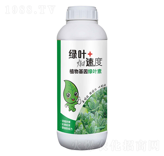 1000毫升植物基因綠葉素-綠葉加速度-豆本豆