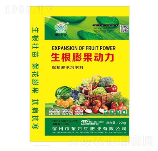 ���������(d��ng)��-�|���t