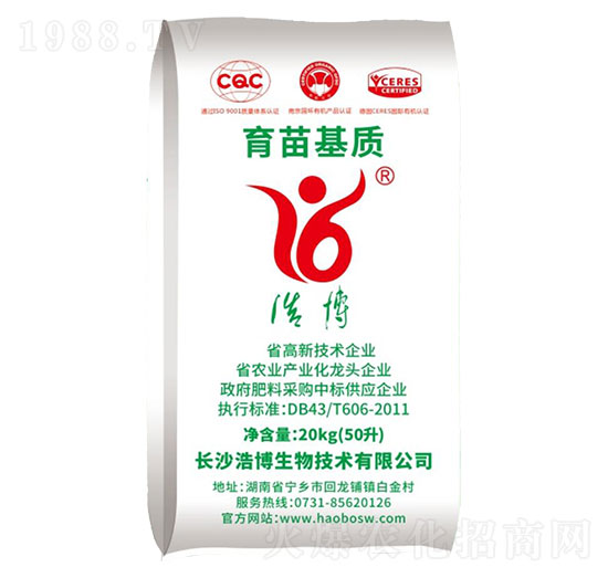 ������|(zh��)-�Ʋ�����