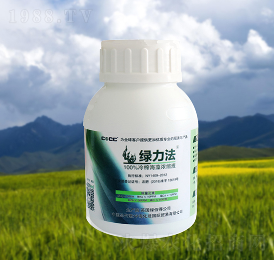 ��ե�����sҺ-�G����-�к�����