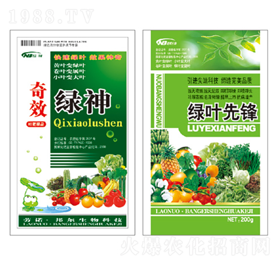 綠神+綠葉先鋒-康普生