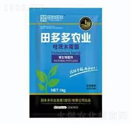 ����ľù��-�����r(n��ng)�I(y��)