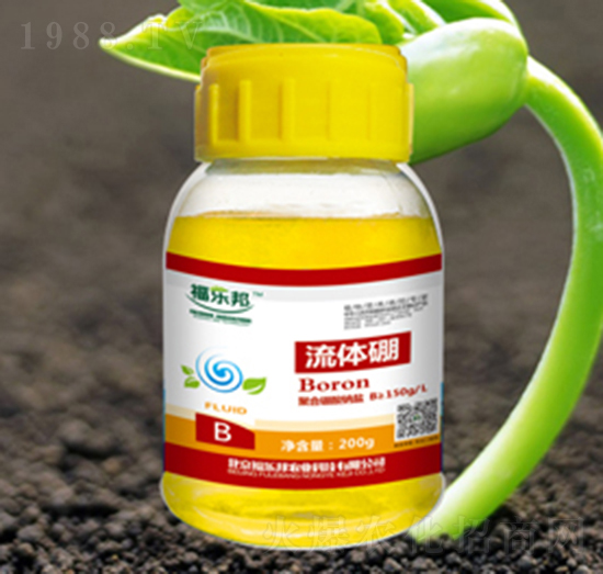 ���w��-������