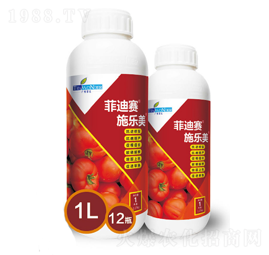 菲迪賽施樂美-翠禾