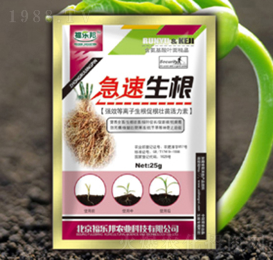 ��������-������