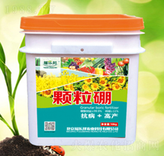 �w����-����(l��)��