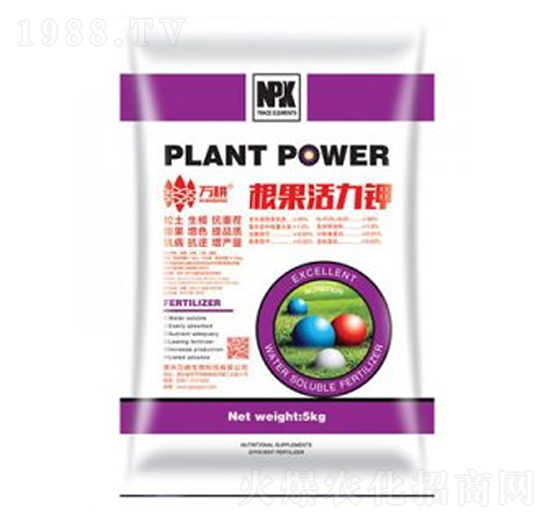 ��������⛷�-�f������