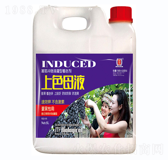 上色母液-金田豐