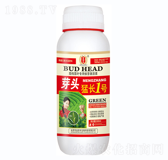 芽頭猛長1號-金田豐