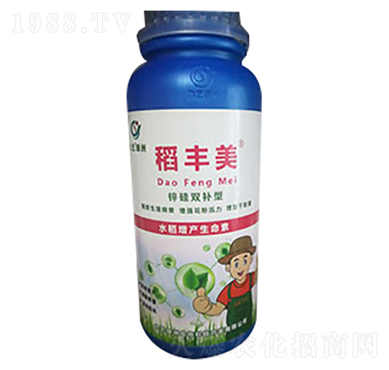 九藝稻豐美-九藝綠洲