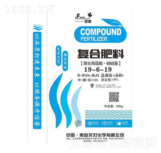 �ͺϷ���19-6-19-����