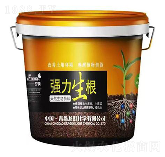 強力生根天然生物酶解-龍燈