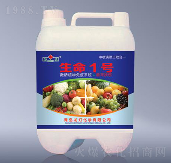 生命1號-芬美-龍燈