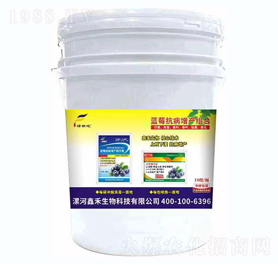藍莓抗病增產(chǎn)組合-綠田地-鑫禾生物