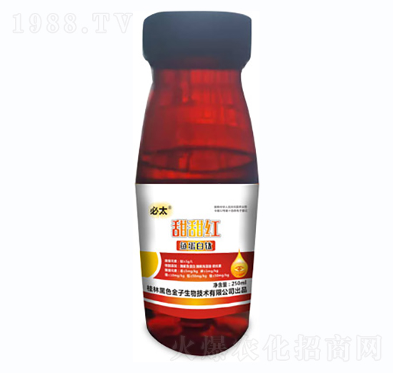 ����t-�~(y��)�����-��ɫ����