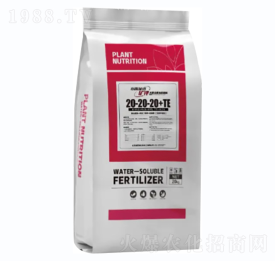 ����Ԫ��ˮ�ܷ���-С���Ǆӡ��V�-С��